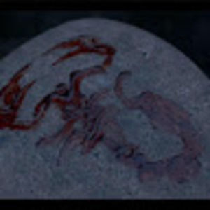 Meet your Posher, Summer